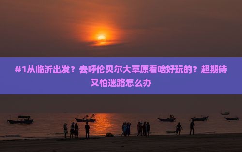#1从临沂出发？去呼伦贝尔大草原看啥好玩的？超期待又怕迷路怎么办