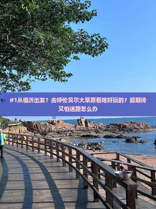 #1从临沂出发？去呼伦贝尔大草原看啥好玩的？超期待又怕迷路怎么办