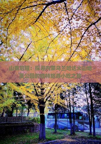 山南启程：探寻内蒙乌兰哈达火山地质公园的独特旅游小吃之旅
