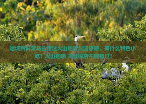 运城到内蒙乌兰哈达火山地质公园旅游，有什么特色小吃？火山地貌+美食探店不能错过！