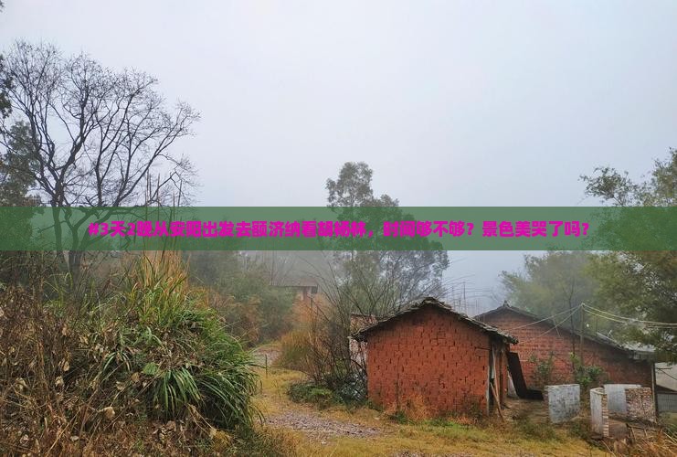 #3天2晚从安阳出发去额济纳看胡杨林，时间够不够？景色美哭了吗？