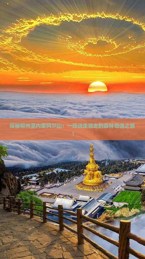 探秘柳州至内蒙阿尔山：一场说走就走的森林奇遇之旅！