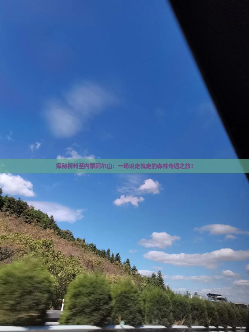 探秘柳州至内蒙阿尔山：一场说走就走的森林奇遇之旅！