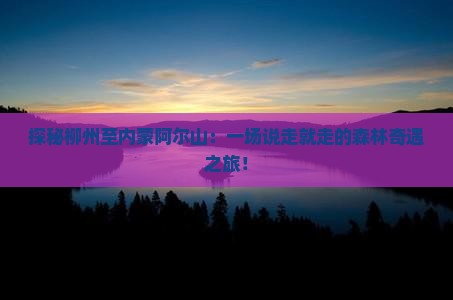 探秘柳州至内蒙阿尔山：一场说走就走的森林奇遇之旅！