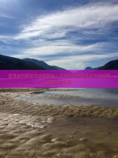 普洱去内蒙额济纳胡杨林七日游探寻神秘西夏古城探秘金秋摄影之旅