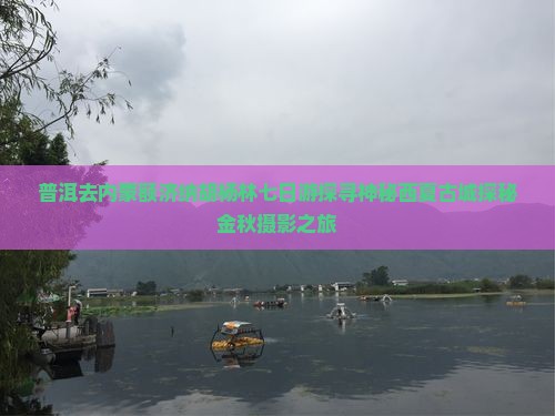 普洱去内蒙额济纳胡杨林七日游探寻神秘西夏古城探秘金秋摄影之旅