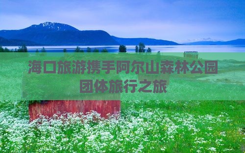 海口旅游携手阿尔山森林公园团体旅行之旅
