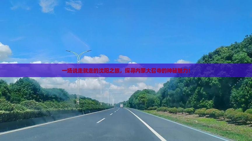 一场说走就走的沈阳之旅，探寻内蒙大召寺的神秘魅力！