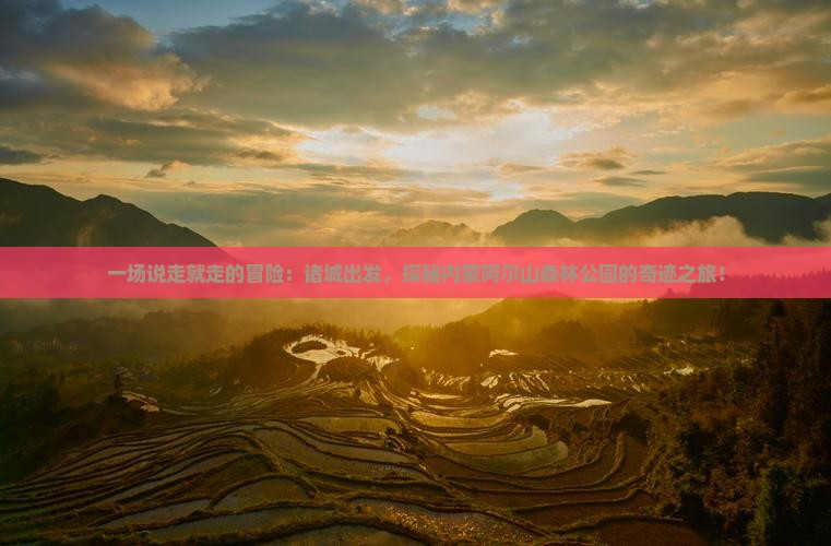 一场说走就走的冒险：诸城出发，探秘内蒙阿尔山森林公园的奇迹之旅！
