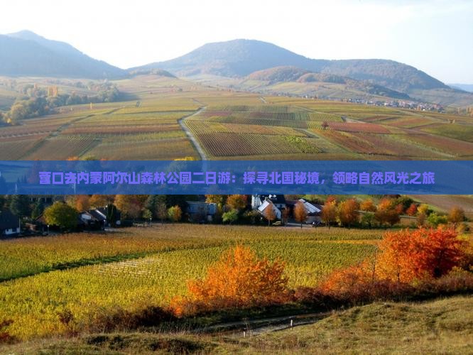 营口去内蒙阿尔山森林公园二日游：探寻北国秘境，领略自然风光之旅