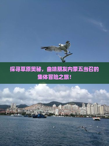 探寻草原奥秘，曲靖朋友内蒙五当召的集体冒险之旅！