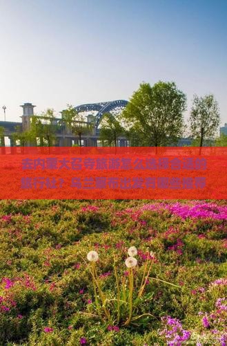 乌兰察布去内蒙大召寺旅行社