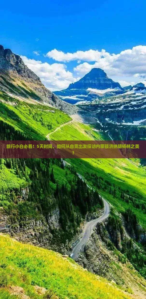 自贡到内蒙额济纳胡杨林自由行