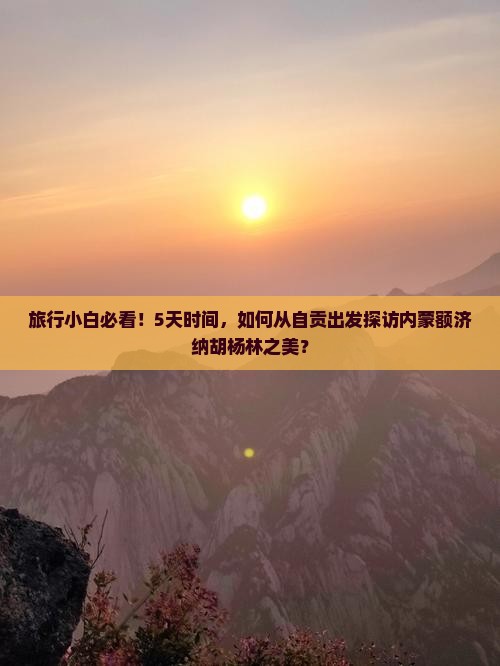 自贡到内蒙额济纳胡杨林自由行