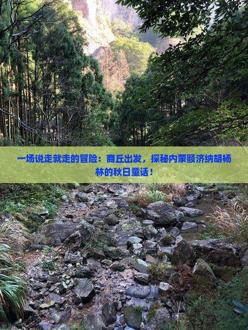 商丘到内蒙额济纳胡杨林自由行