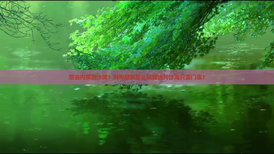 荆州去内蒙响沙湾门票