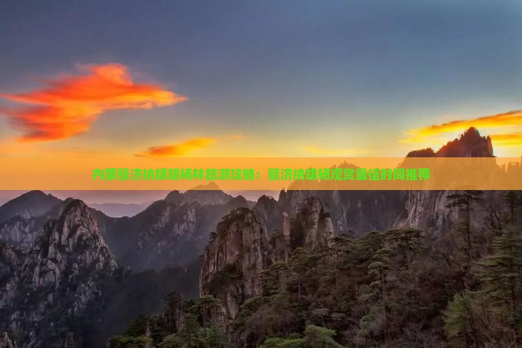 春节去内蒙额济纳胡杨林团体旅游