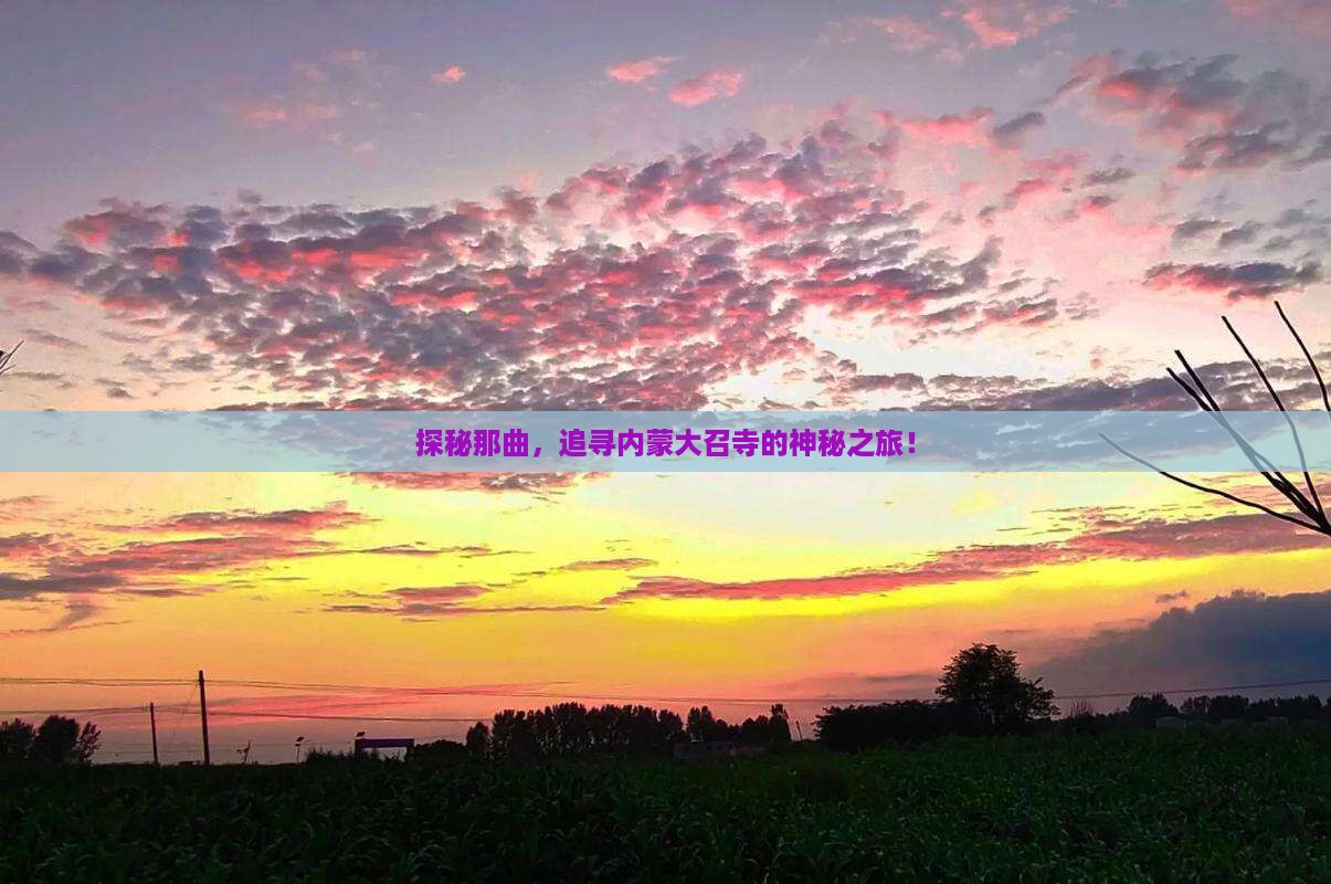那曲到内蒙大召寺景点