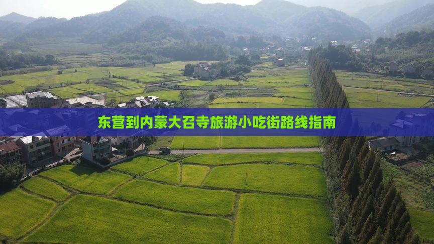 东营到内蒙大召寺旅游小吃