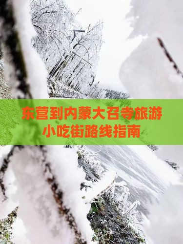 东营到内蒙大召寺旅游小吃