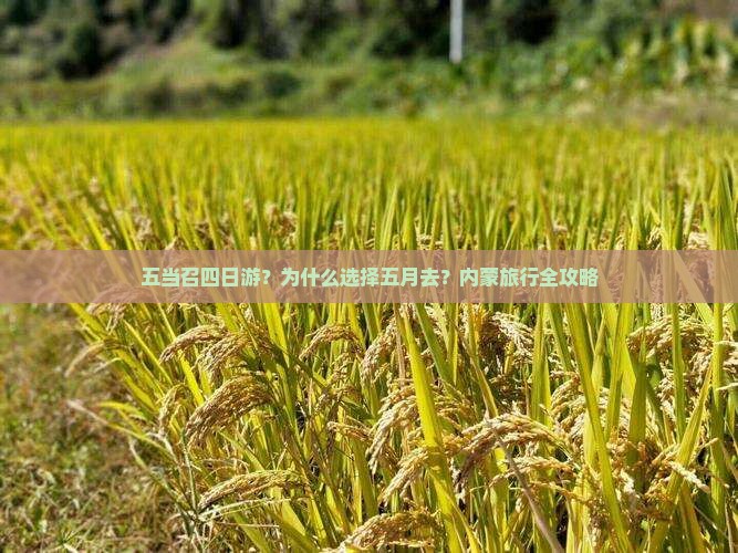 五月去内蒙五当召四日游
