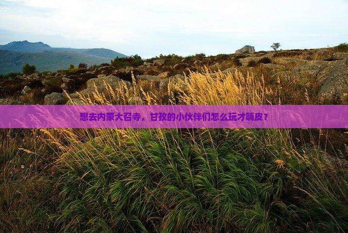 甘孜去内蒙大召寺哪里玩
