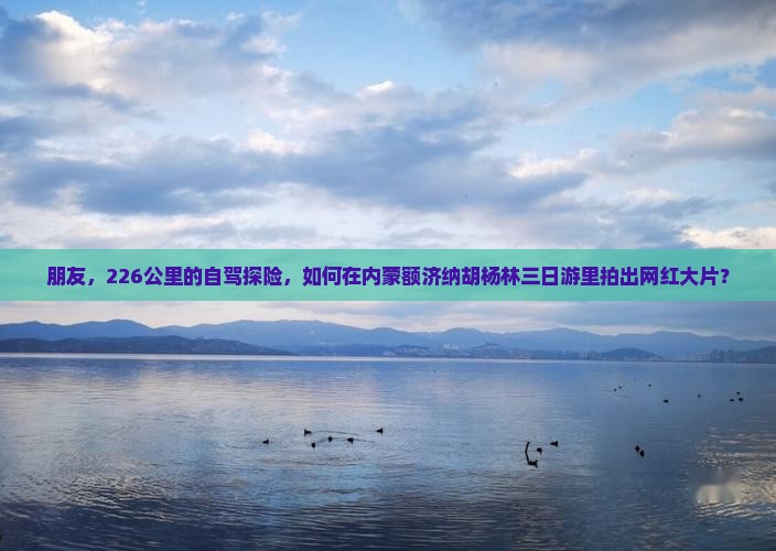 聊城到内蒙额济纳胡杨林三日游