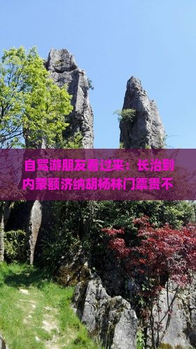 长治到内蒙额济纳胡杨林门票