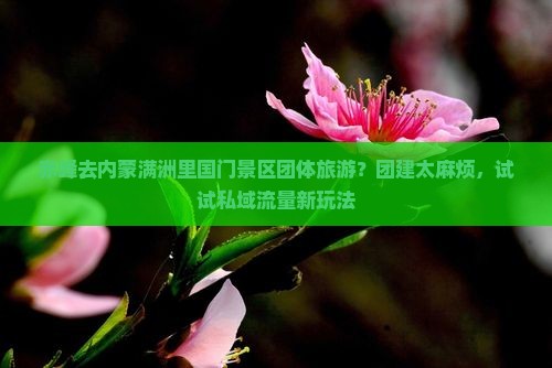赤峰去内蒙满洲里国门景区团体旅游