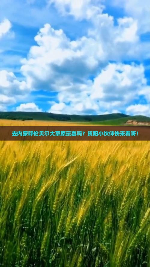 资阳去内蒙呼伦贝尔大草原旅行社