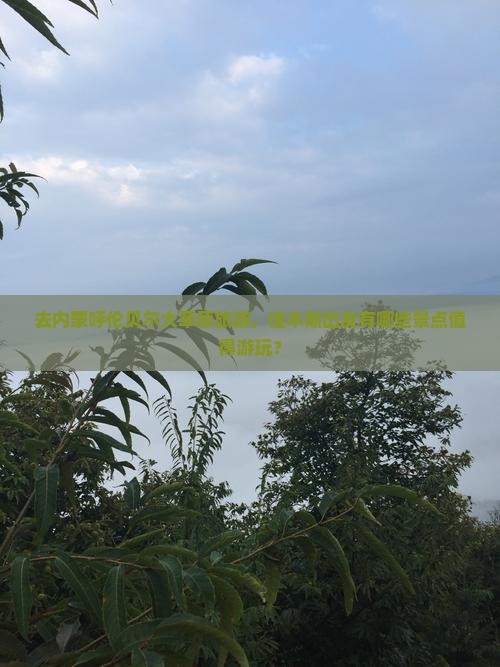 佳木斯去内蒙呼伦贝尔大草原景点