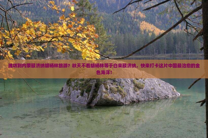 潍坊到内蒙额济纳胡杨林旅游