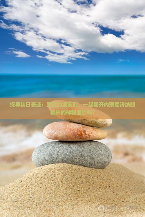 武汉去内蒙额济纳胡杨林大型旅游团