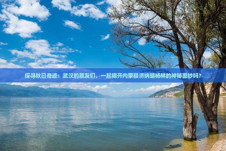 武汉去内蒙额济纳胡杨林大型旅游团