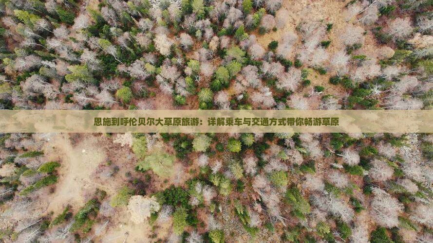 恩施到内蒙呼伦贝尔大草原旅游