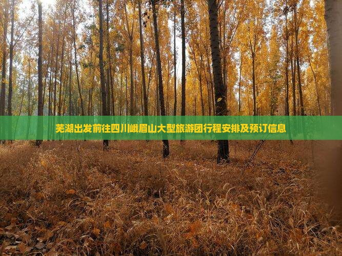 芜湖出发前往四川峨眉山大型旅游团行程安排及预订信息