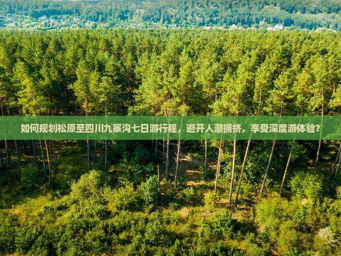 如何规划松原至四川九寨沟七日游行程，避开人潮拥挤，享受深度游体验？