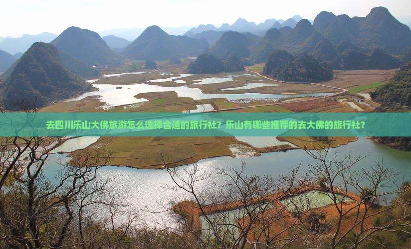 去四川乐山大佛旅游怎么选择合适的旅行社？乐山有哪些推荐的去大佛的旅行社？