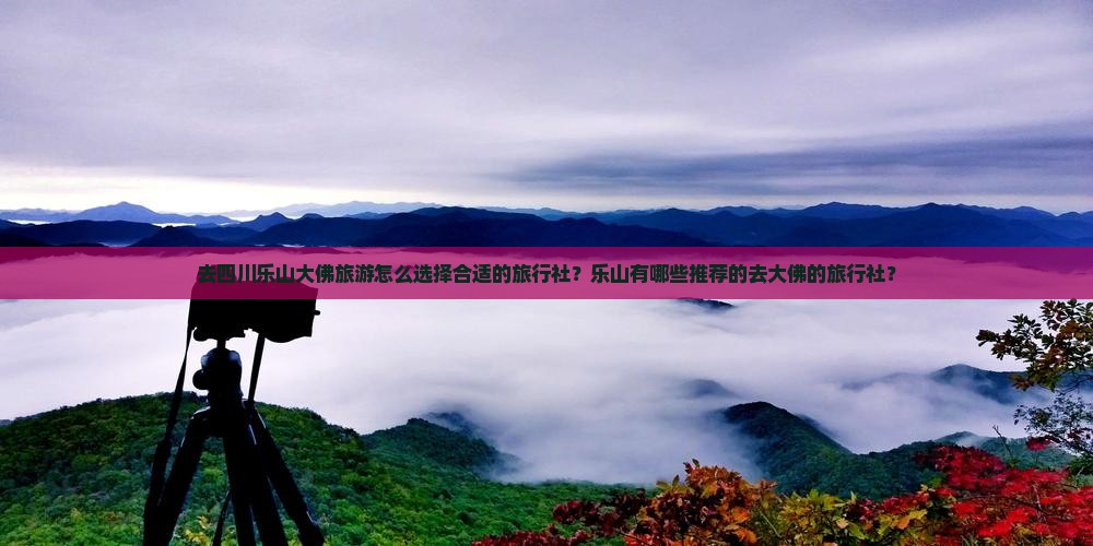 去四川乐山大佛旅游怎么选择合适的旅行社？乐山有哪些推荐的去大佛的旅行社？