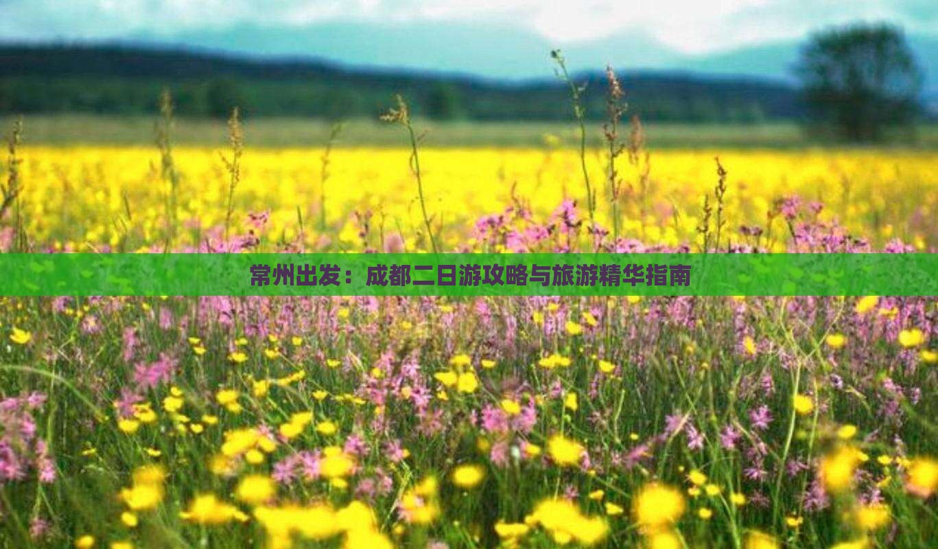 常州出发：成都二日游攻略与旅游精华指南