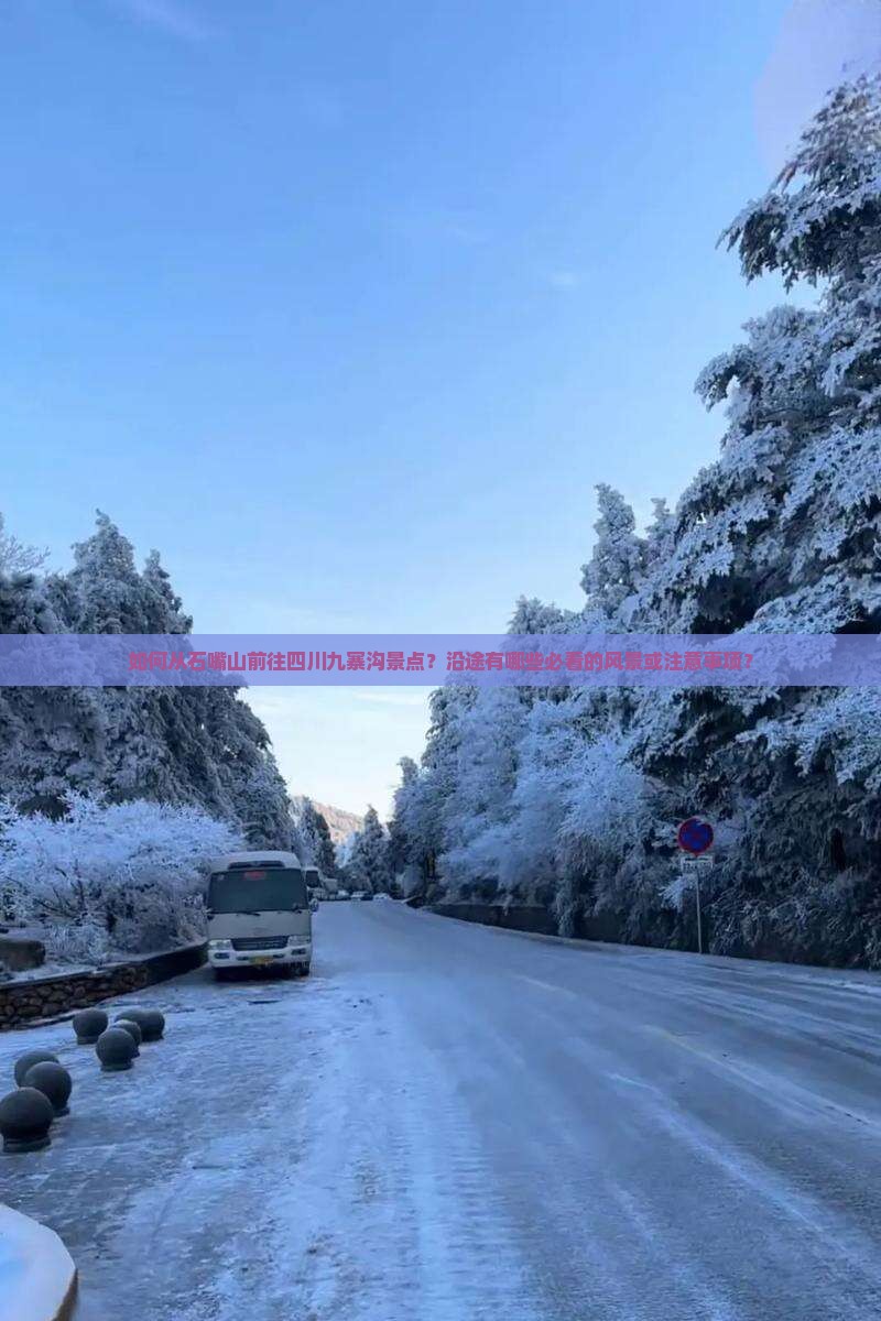 如何从石嘴山前往四川九寨沟景点？沿途有哪些必看的风景或注意事项？