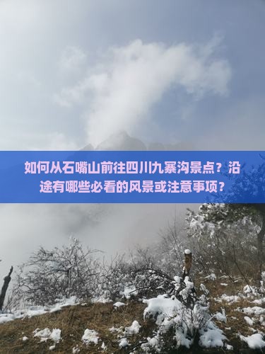 如何从石嘴山前往四川九寨沟景点？沿途有哪些必看的风景或注意事项？