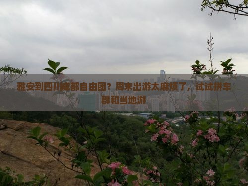雅安到四川成都自由团？周末出游太麻烦了，试试拼车群和当地游