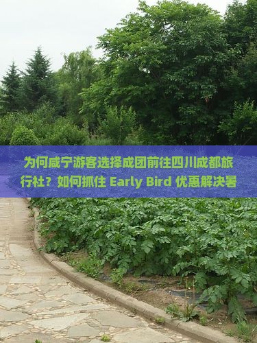 为何咸宁游客选择成团前往四川成都旅行社？如何抓住 Early Bird 优惠解决暑期旅游痛点？