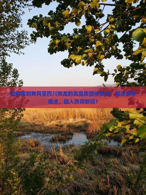 如何策划黄冈至四川黄龙的高品质团体旅游，解决游客痛点，融入热词新词？