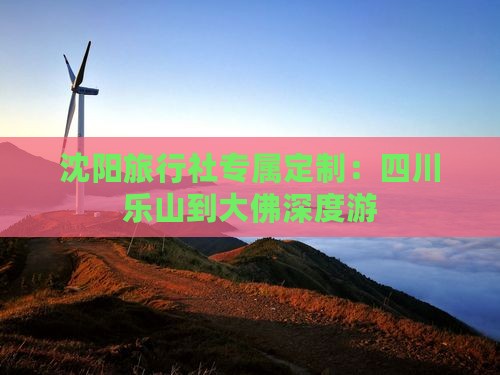 沈阳旅行社专属定制：四川乐山到大佛深度游