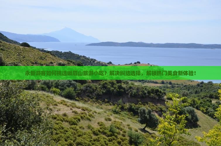 永新游客如何挑选峨眉山旅游小吃？解决纠结选择，解锁热门美食新体验！