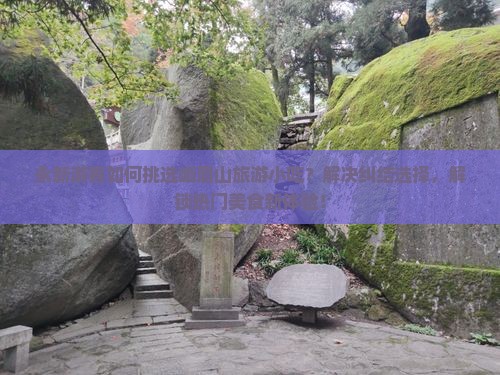 永新游客如何挑选峨眉山旅游小吃？解决纠结选择，解锁热门美食新体验！