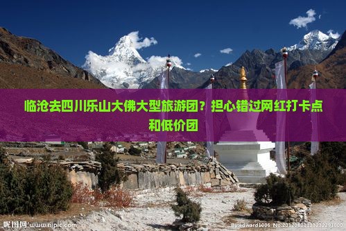 临沧去四川乐山大佛大型旅游团？担心错过网红打卡点和低价团