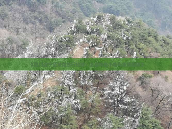 《四川遂宁至黄龙旅行攻略：必尝特色小吃与旅游指南》